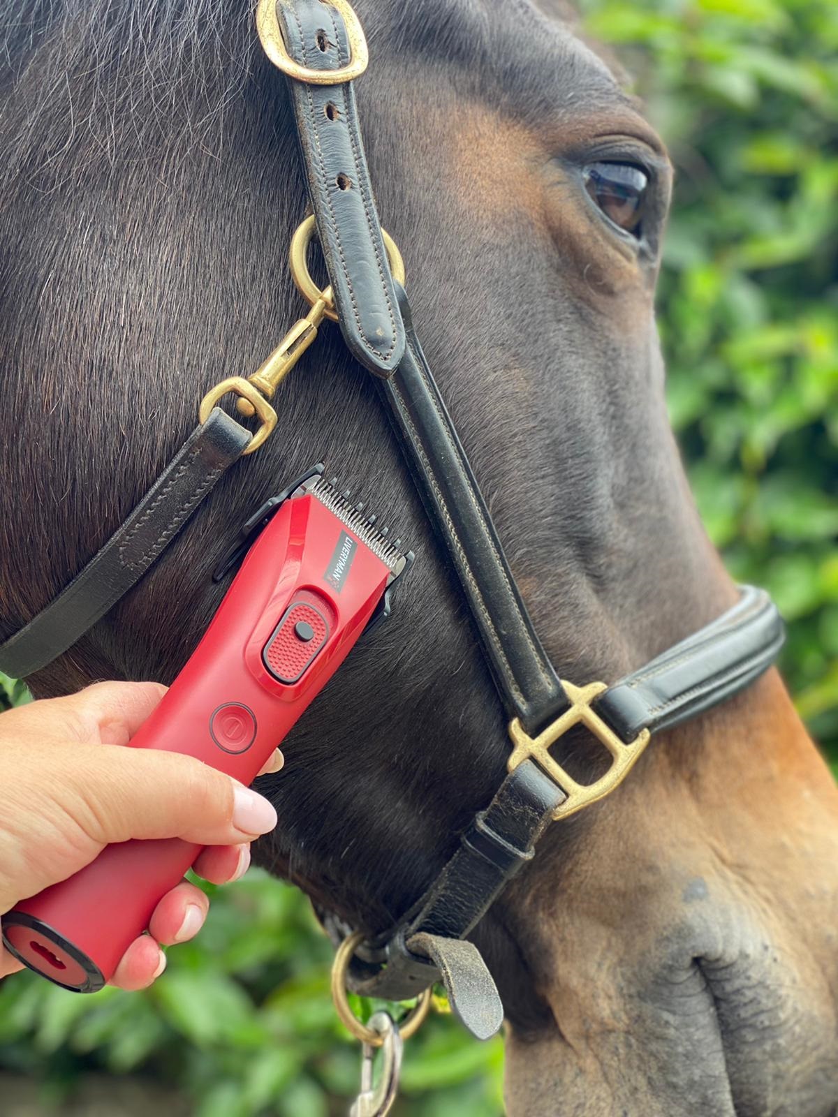 Liveryman Horse Clippers and Trimmers Review 2023